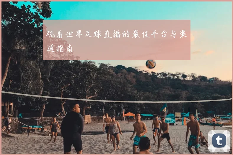 观看世界足球直播的最佳平台与渠道指南