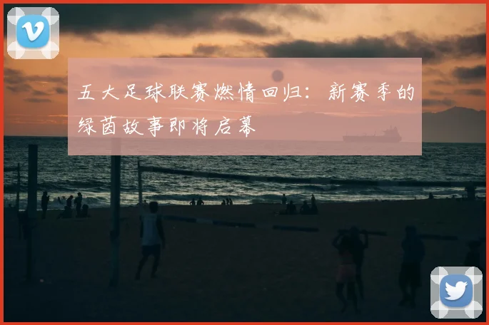 五大足球联赛燃情回归:新赛季的绿茵故事即将启幕