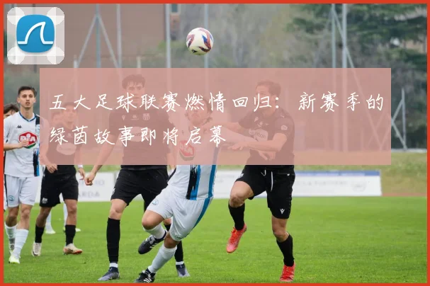 五大足球联赛燃情回归：新赛季的绿茵故事即将启幕