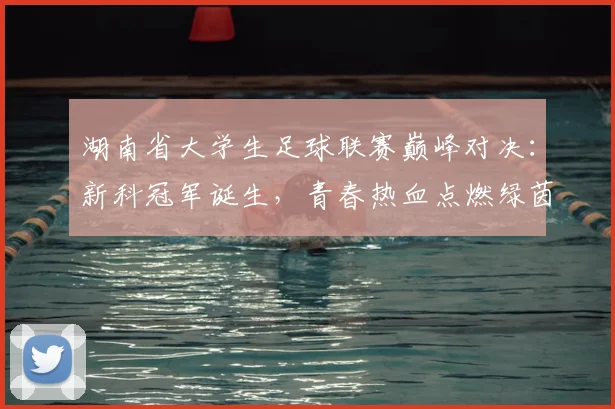 湖南省大学生足球联赛巅峰对决：新科冠军诞生，青春热血点燃绿茵场